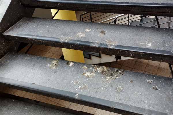 Treppe im Innern des Tierpark-Center, Foto: Juhnke